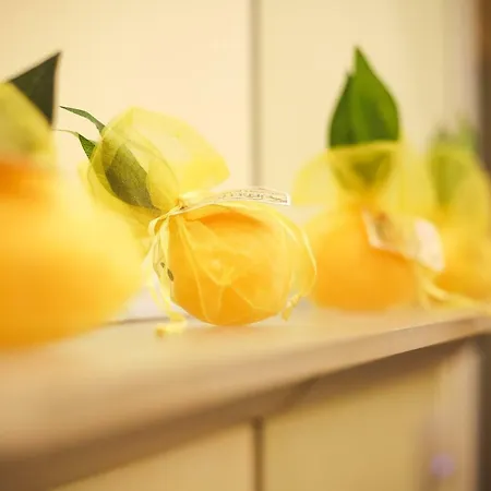 Lemon Tree Vatican House Holiday home Rome